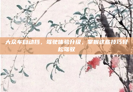 大众车自动挡，驾驶体验升级，掌握这些技巧轻松驾驭