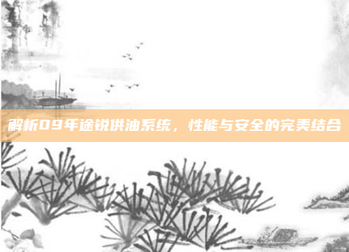 解析09年途锐供油系统，性能与安全的完美结合