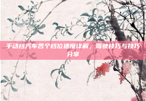 手动挡汽车各个档位速度详解,驾驶技巧与技巧分享