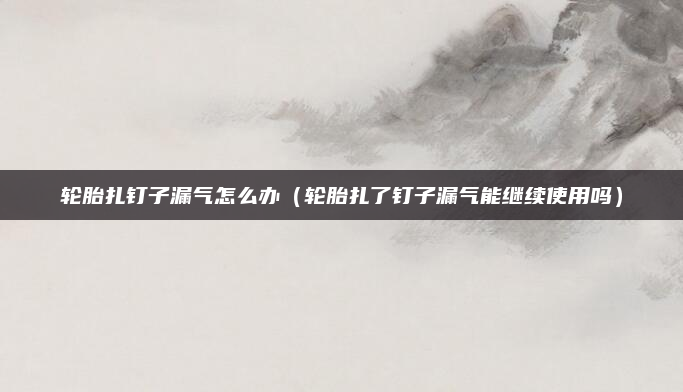 轮胎扎钉子漏气怎么办（轮胎扎了钉子漏气能继续使用吗）