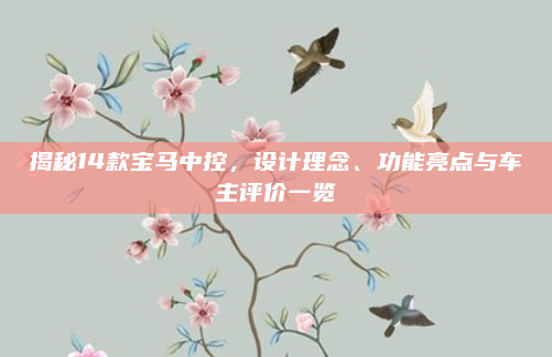 揭秘14款宝马中控,设计理念、功能亮点与车主评价一览