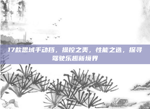 17款思域手动挡,操控之美,性能之选,探寻驾驶乐趣新境界
