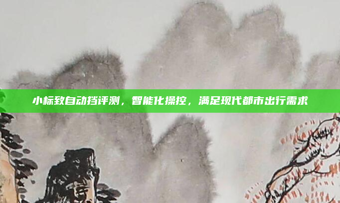 小标致自动挡评测,智能化操控,满足现代都市出行需求