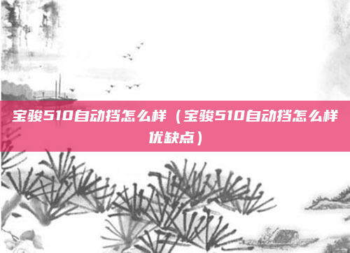 宝骏510自动挡怎么样（宝骏510自动挡怎么样优缺点）