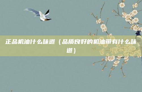 正品机油什么味道（品质良好的机油带有什么味道）
