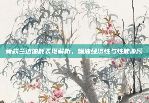 新款兰达油耗表现解析，燃油经济性与性能兼顾