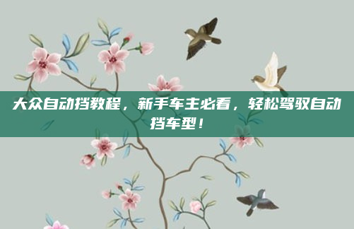 大众自动挡教程,新手车主必看,轻松驾驭自动挡车型!