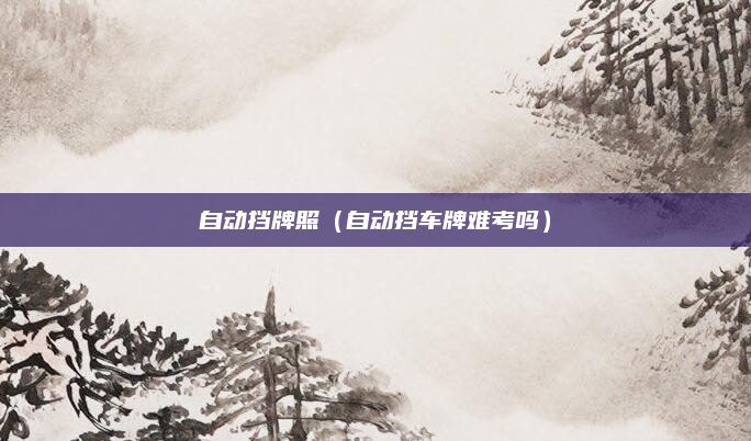 自动挡牌照（自动挡车牌难考吗）