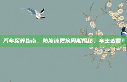 汽车保养指南，防冻液更换周期揭秘，车主必看！
