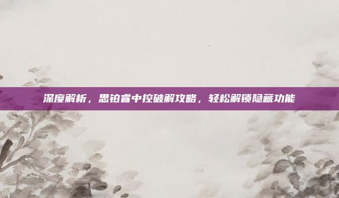 深度解析,思铂睿中控破解攻略,轻松解锁隐藏功能