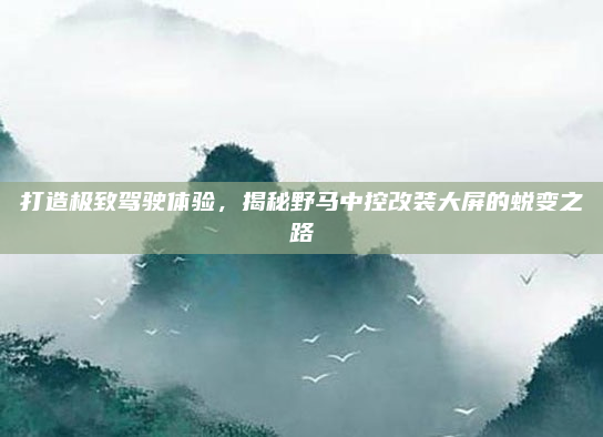 打造极致驾驶体验,揭秘野马中控改装大屏的蜕变之路