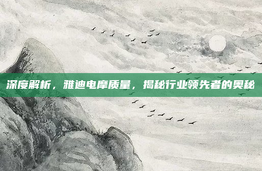 深度解析，雅迪电摩质量，揭秘行业领先者的奥秘