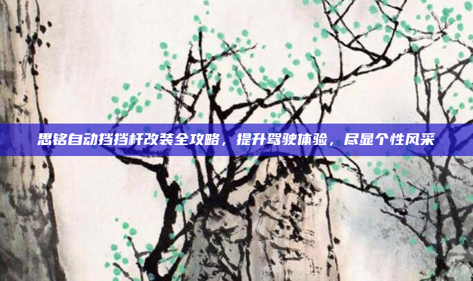 思铭自动挡挡杆改装全攻略，提升驾驶体验，尽显个性风采