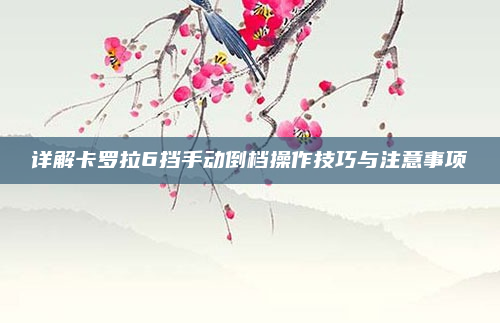 详解卡罗拉6挡手动倒档操作技巧与注意事项