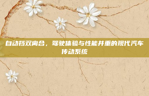 自动挡双离合，驾驶体验与性能并重的现代汽车传动系统