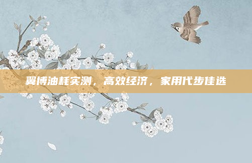 翼博油耗实测，高效经济，家用代步佳选