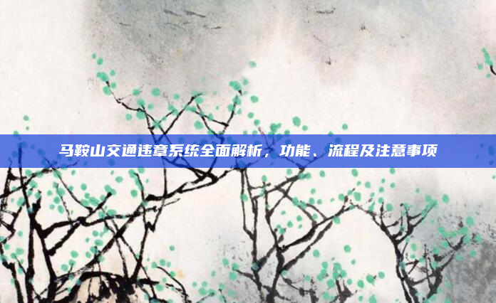 马鞍山交通违章系统全面解析，功能、流程及注意事项