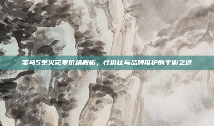 宝马5系火花塞价格解析，性价比与品牌维护的平衡之道