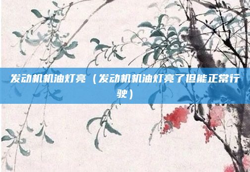 发动机机油灯亮（发动机机油灯亮了但能正常行驶）