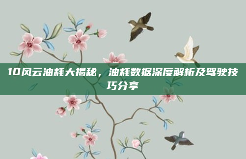 10风云油耗大揭秘，油耗数据深度解析及驾驶技巧分享