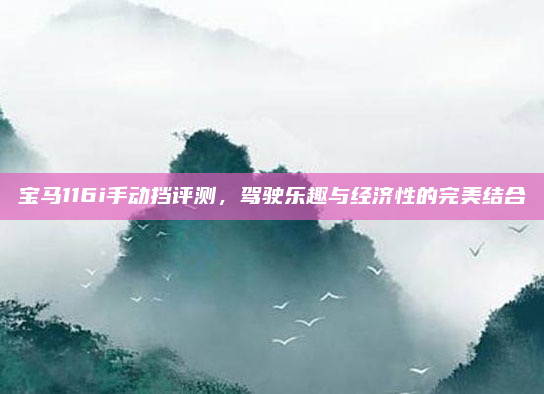 宝马116i手动挡评测，驾驶乐趣与经济性的完美结合