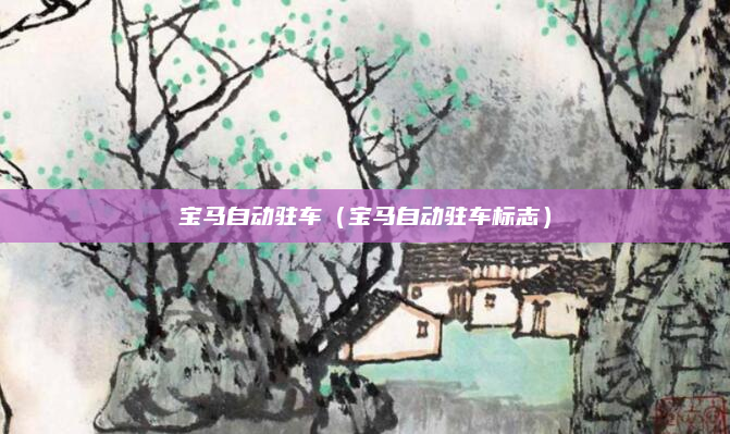 宝马自动驻车（宝马自动驻车标志）