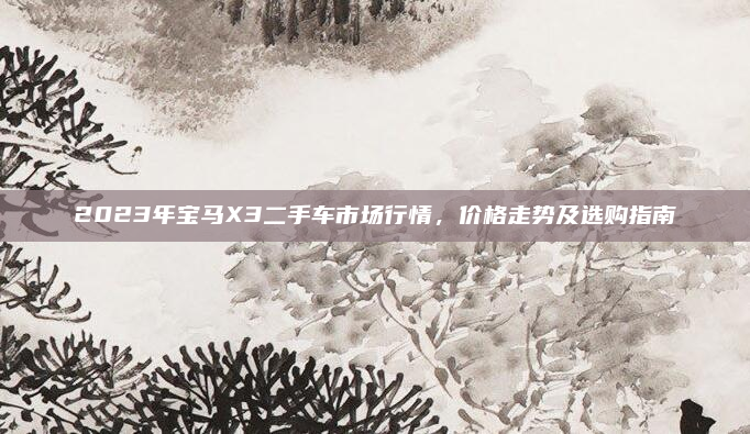 2023年宝马X3二手车市场行情，价格走势及选购指南