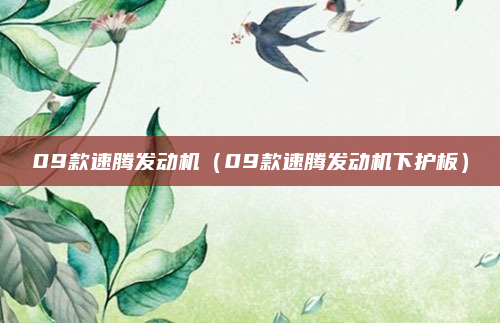 09款速腾发动机（09款速腾发动机下护板）