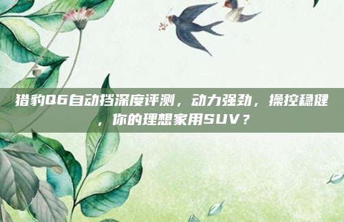 猎豹Q6自动挡深度评测，动力强劲，操控稳健，你的理想家用SUV？