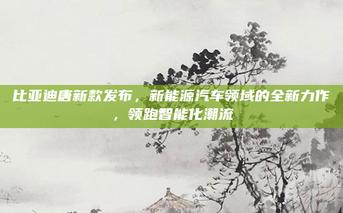 比亚迪唐新款发布，新能源汽车领域的全新力作，领跑智能化潮流