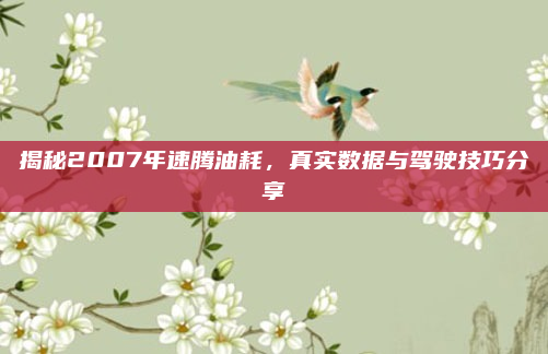 揭秘2007年速腾油耗，真实数据与驾驶技巧分享
