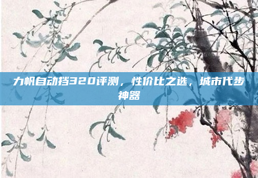力帆自动挡320评测，性价比之选，城市代步神器