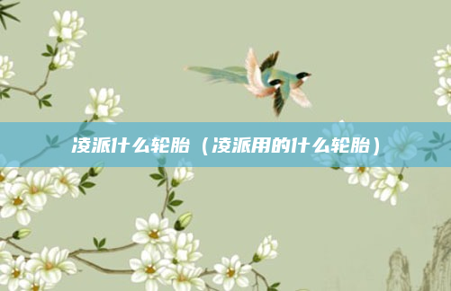凌派什么轮胎（凌派用的什么轮胎）