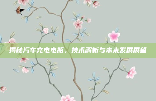 揭秘汽车充电电瓶,技术解析与未来发展展望