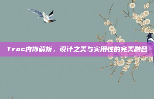 Troc内饰解析，设计之美与实用性的完美融合
