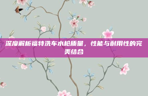 深度解析福特洗车水枪质量，性能与耐用性的完美结合