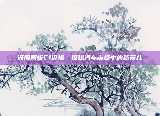 深度解析C1价格，揭秘汽车市场中的新宠儿