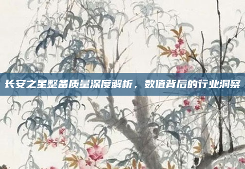 长安之星整备质量深度解析，数值背后的行业洞察