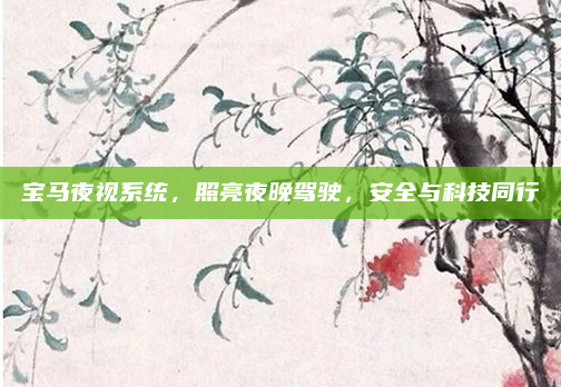 宝马夜视系统，照亮夜晚驾驶，安全与科技同行