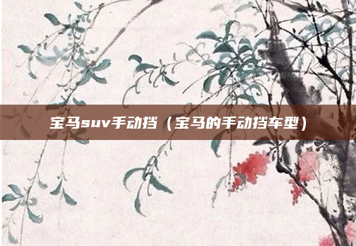 宝马suv手动挡（宝马的手动挡车型）