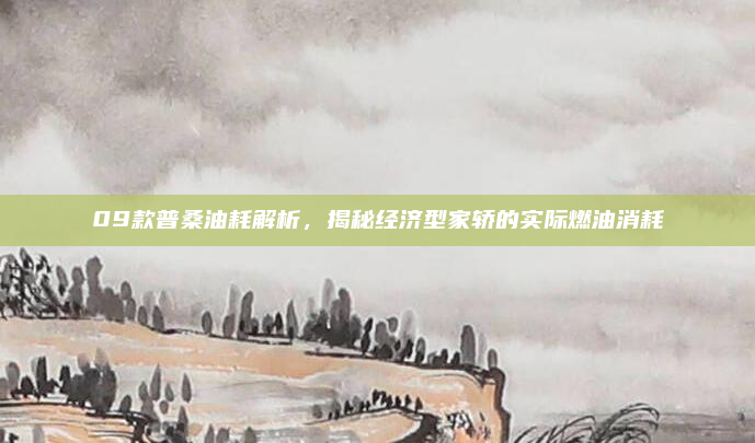 09款普桑油耗解析，揭秘经济型家轿的实际燃油消耗