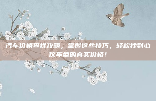 汽车价格查找攻略,掌握这些技巧,轻松找到心仪车型的真实价格!