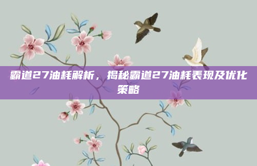 霸道27油耗解析，揭秘霸道27油耗表现及优化策略