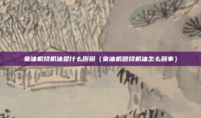 柴油机烧机油是什么原因（柴油机器烧机油怎么回事）