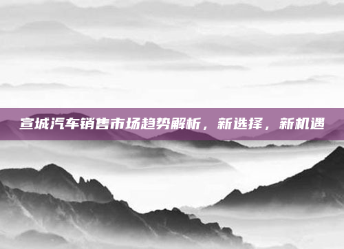 宣城汽车销售市场趋势解析，新选择，新机遇