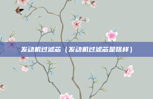 发动机过滤芯（发动机过滤芯是啥样）