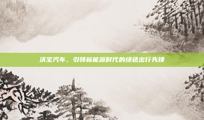 沃宝汽车，引领新能源时代的绿色出行先锋