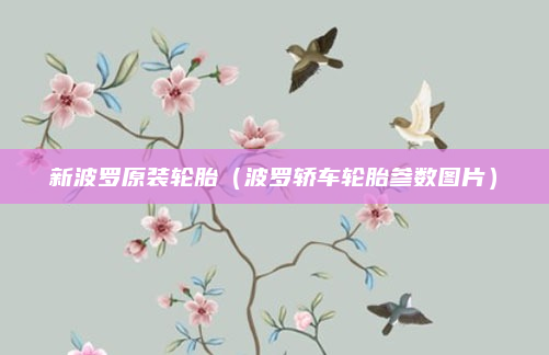 新波罗原装轮胎（波罗轿车轮胎参数图片）