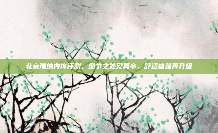 北京瑞纳内饰评测，细节之处见真章，舒适体验再升级