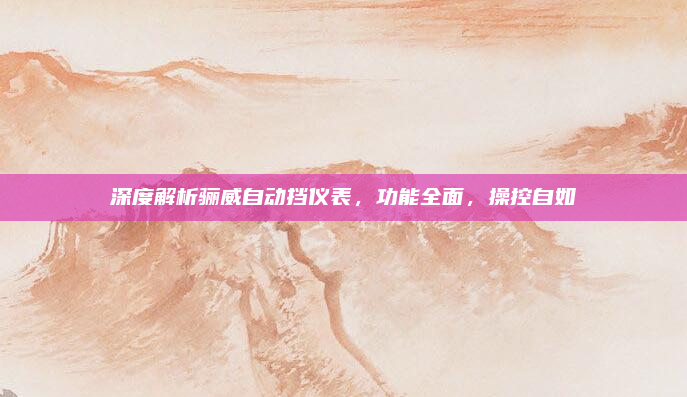 深度解析骊威自动挡仪表，功能全面，操控自如